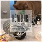 Дорогие коллеги, партнёры, скоро день рождения нашей компании 🎉 Дорогие коллеги, партнёры, скоро день рождения нашей компании 🎉